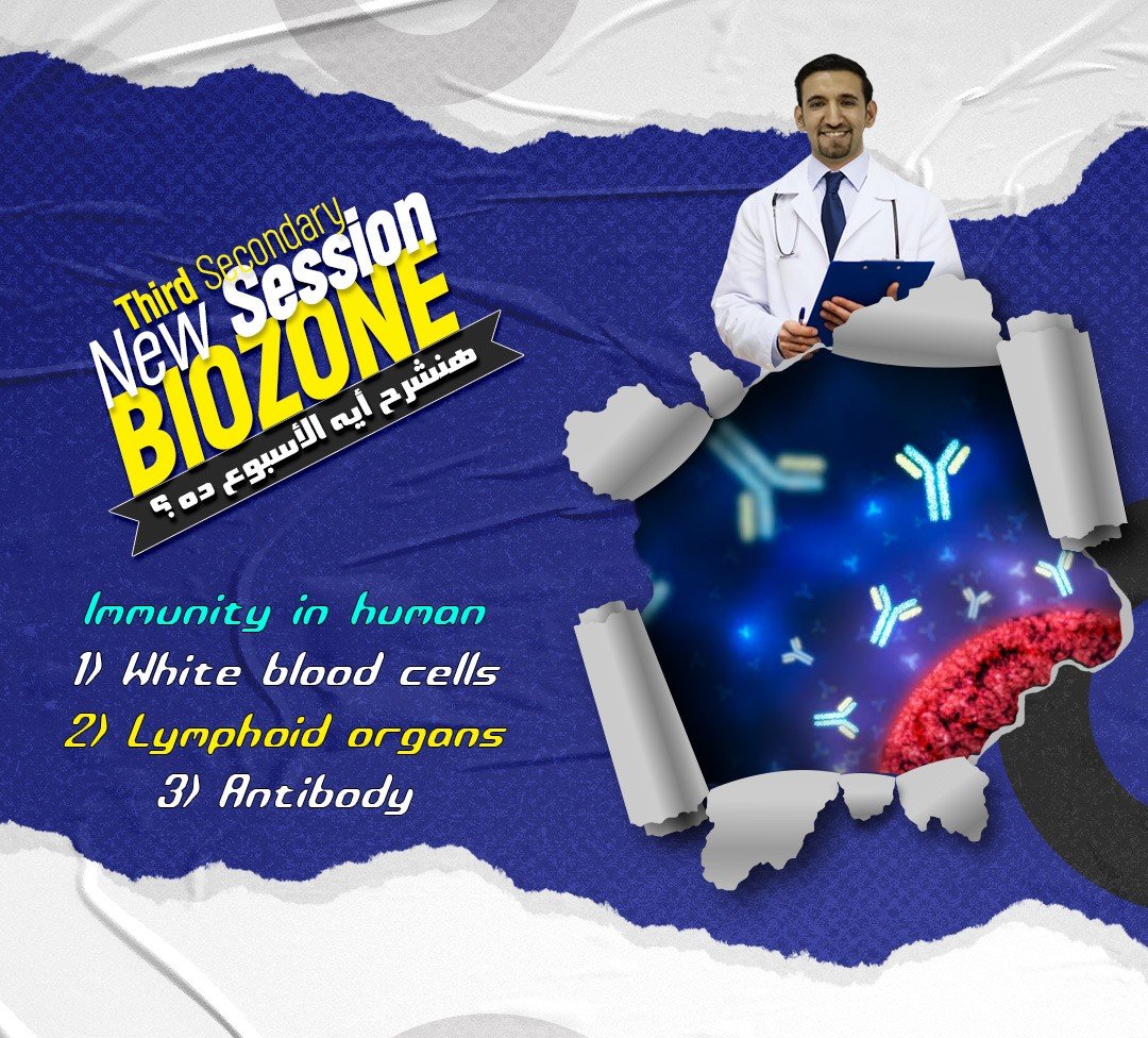 Immunity in human - Structure of Antibody